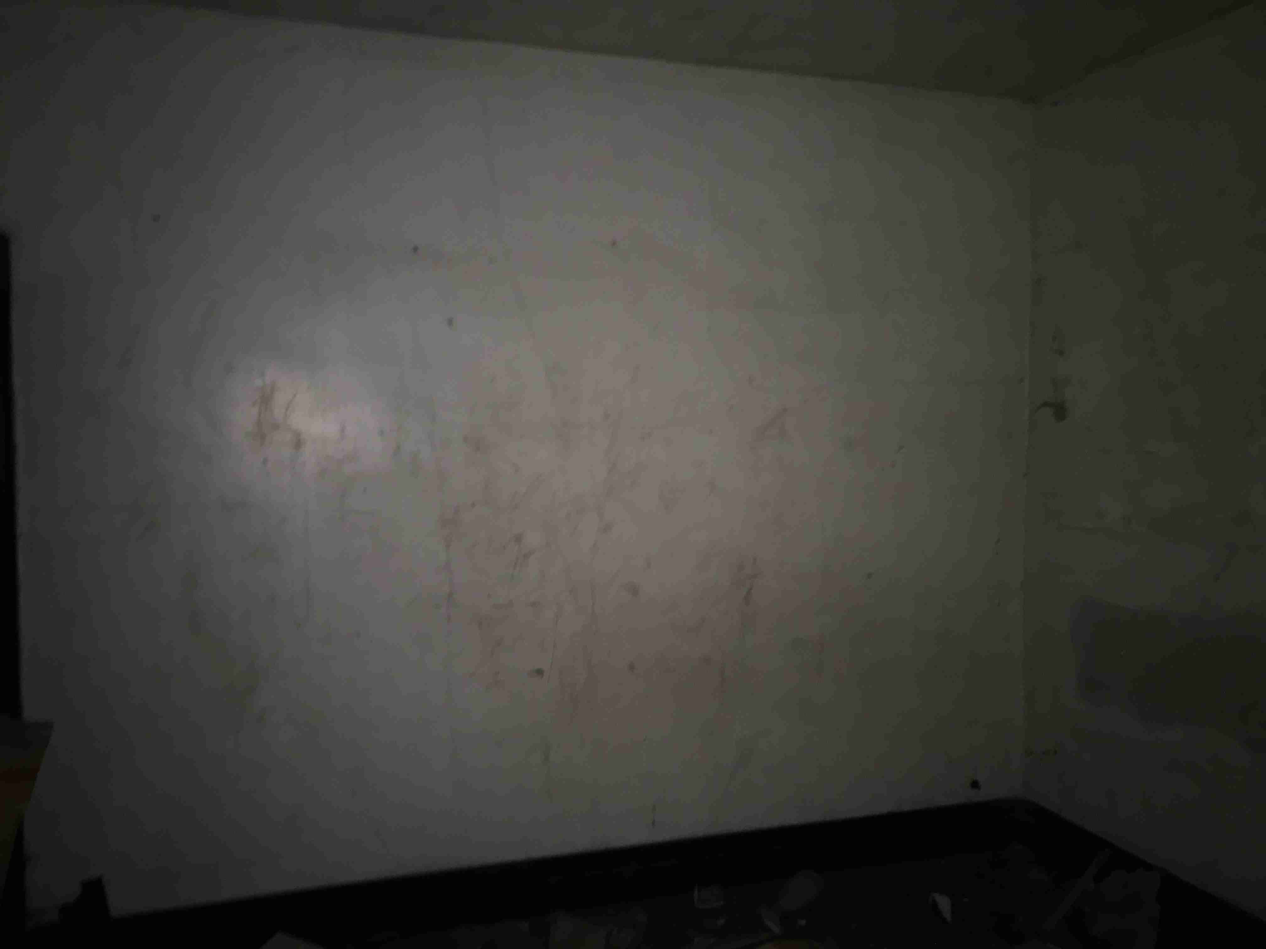 Photo Nov 05, 7 47 38 AM (1).jpg